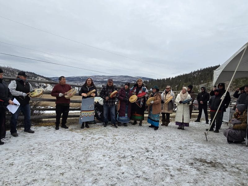 In Secwepemcúl’ecw, a bighorn sheep herd too small to survive gets a second chance