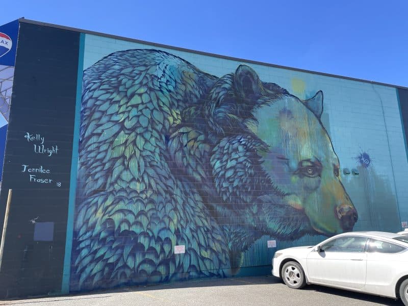 Bringing colour and connection to Kamloops: How public art came to be 