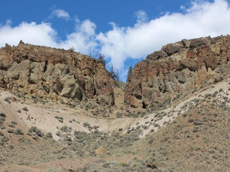 Secwépemc stewardship reshapes 53-million-year-old forest